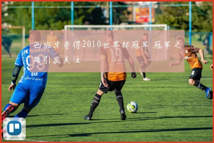 西班牙夺得2010世界杯冠军 冠军之路引发关注