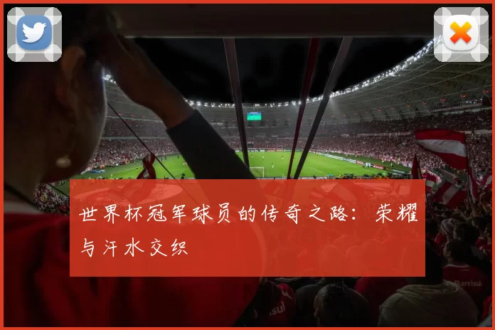 世界杯冠军球员的传奇之路:荣耀与汗水交织
