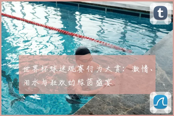 世界杯球迷观赛行为大赏:激情、泪水与狂欢的绿茵盛宴