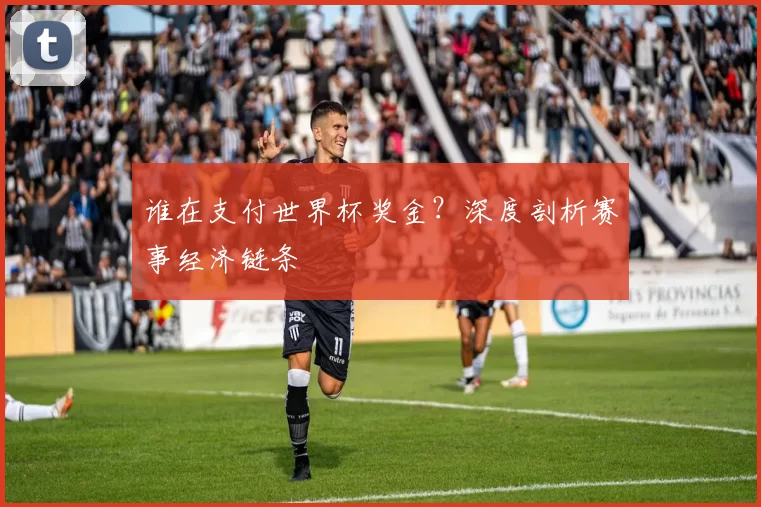 谁在支付世界杯奖金？深度剖析赛事经济链条