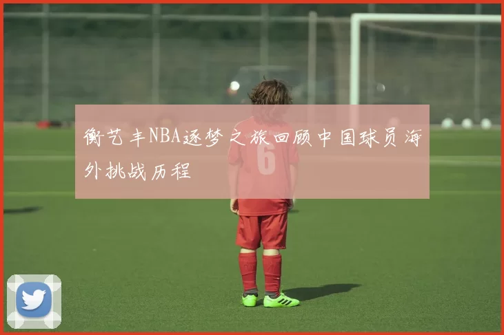 衡艺丰NBA逐梦之旅回顾中国球员海外挑战历程