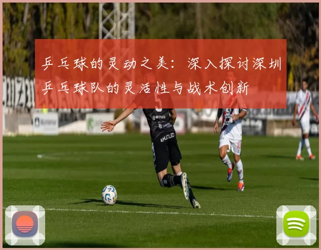 乒乓球的灵动之美：深入探讨深圳乒乓球队的灵活性与战术创新