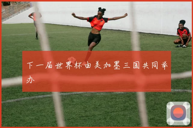 下一届世界杯由美加墨三国共同举办
