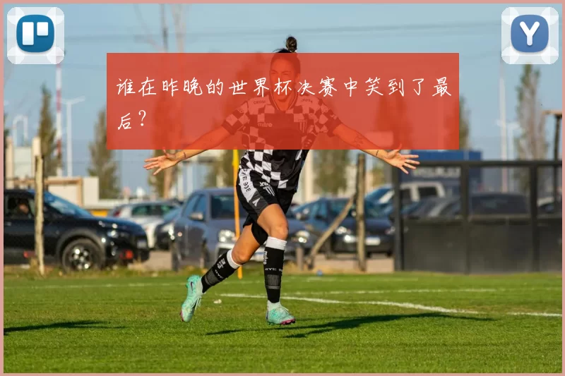 谁在昨晚的世界杯决赛中笑到了最后?