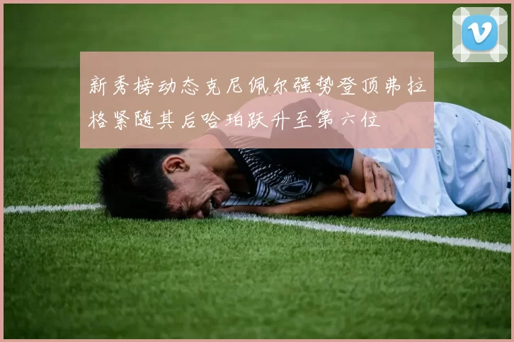 新秀榜动态克尼佩尔强势登顶弗拉格紧随其后哈珀跃升至第六位