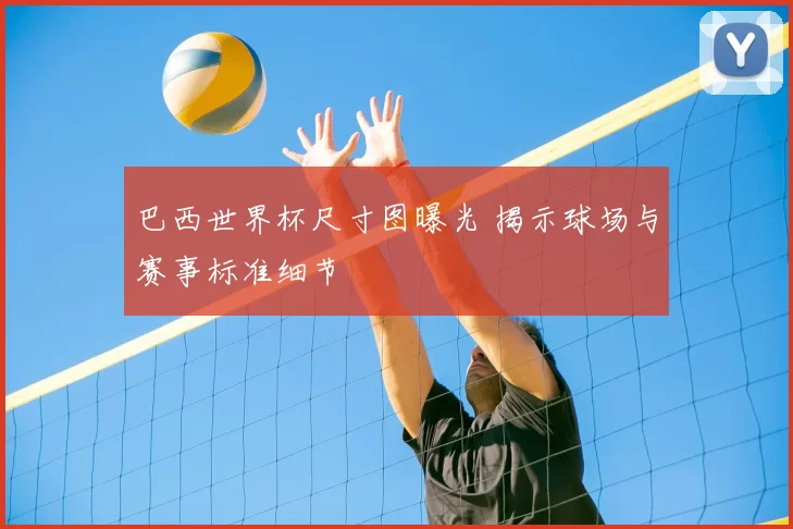 巴西世界杯尺寸图曝光 揭示球场与赛事标准细节