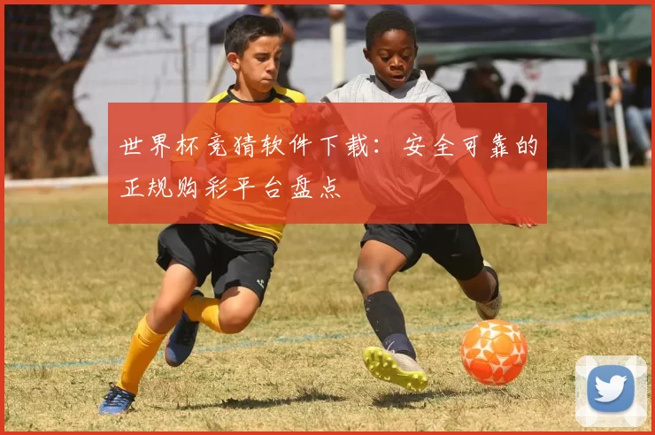 世界杯竞猜软件下载：安全可靠的正规购彩平台盘点