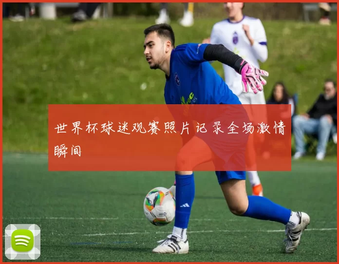 世界杯球迷观赛照片记录全场激情瞬间