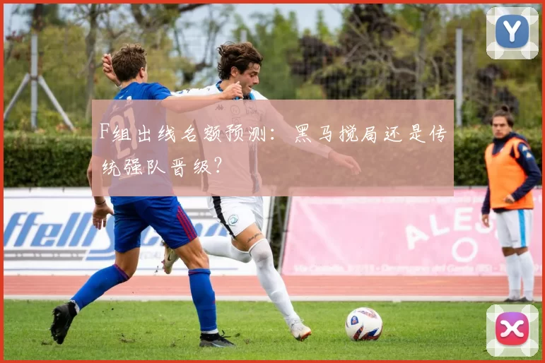 F组出线名额预测:黑马搅局还是传统强队晋级?