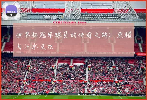 世界杯冠军球员的传奇之路:荣耀与汗水交织