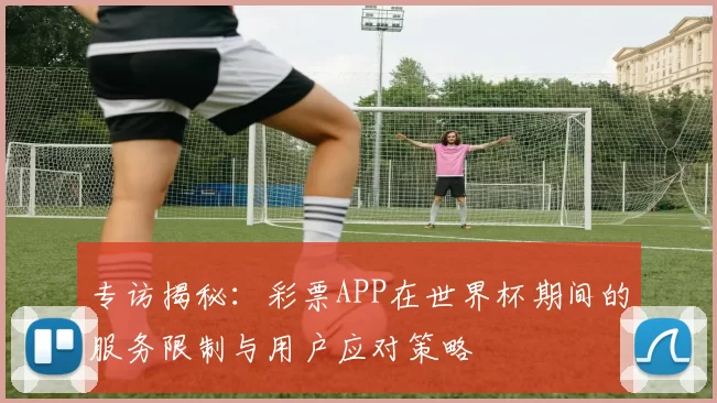 专访揭秘:彩票APP在世界杯期间的服务限制与用户应对策略