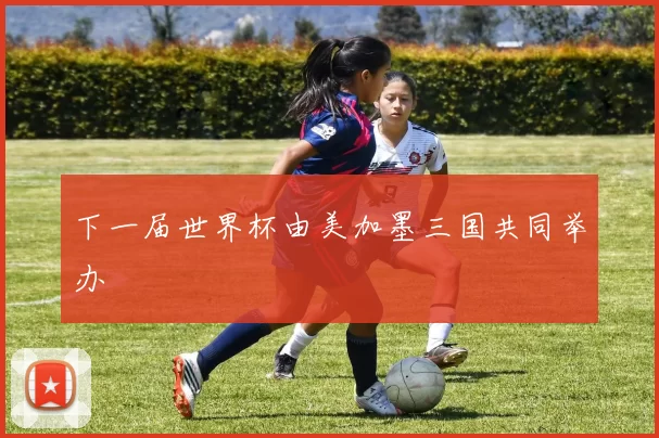 下一届世界杯由美加墨三国共同举办