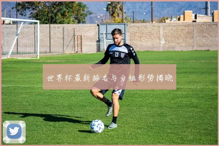 世界杯最新排名与分组形势揭晓