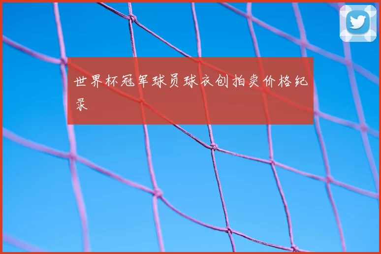 世界杯冠军球员球衣创拍卖价格纪录