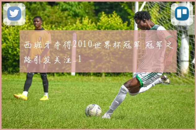 西班牙夺得2010世界杯冠军 冠军之路引发关注_1