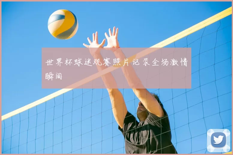 世界杯球迷观赛照片记录全场激情瞬间