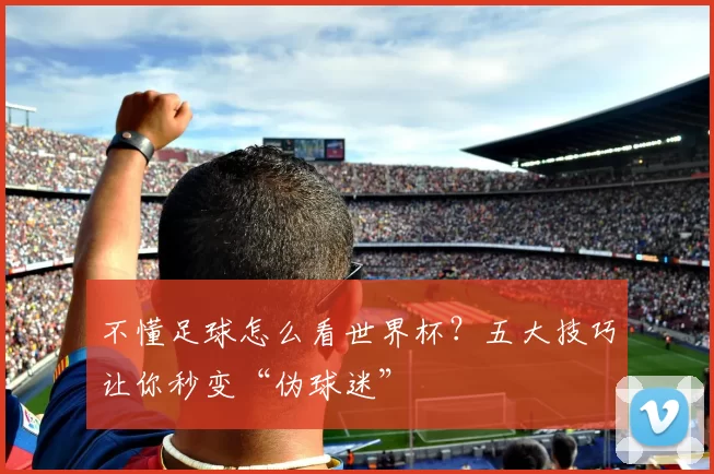 不懂足球怎么看世界杯?五大技巧让你秒变“伪球迷”