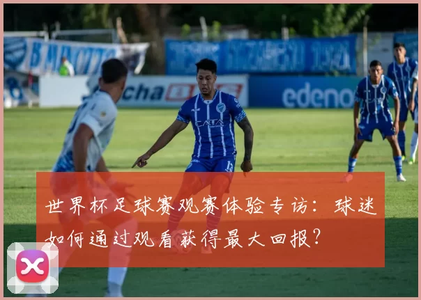 世界杯足球赛观赛体验专访：球迷如何通过观看获得最大回报？